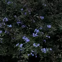 MAQUIA姶良店 冨屋のプロフィール画像