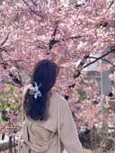 もも もものプロフィール画像