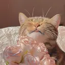 KANOA【カノア】 suzukaのプロフィール画像