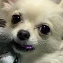 MAQUIA奥州 水沢店　田道のプロフィール画像