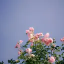 渋谷・スパニスト💆 ⭐️髙山愛莉のプロフィール画像