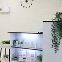 森川 葵のプロフィール画像