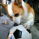 山口 亜希子のプロフィール画像