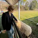 西畑海希/メンズ パーマ/メンズカットのプロフィール画像