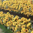 縮毛矯正 美容室のプロフィール画像