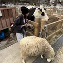 岩田 陽向子のプロフィール画像