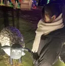 永井 愛莉のプロフィール画像