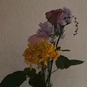 角本 千花のプロフィール画像