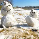 ｕｍｅｄａ ａｙｕｍｉのプロフィール画像