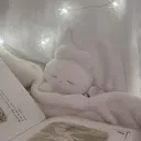 HAYAKAWA YUURIのプロフィール画像