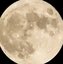 CAFUNE_ TOKYOのプロフィール画像