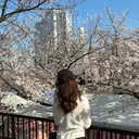 山田 アイブロウデザイナーのプロフィール画像