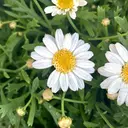 yukiya 🌻のプロフィール画像