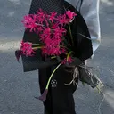 マリーテレジア⭐️ ゆきなのプロフィール画像