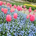 eri .のプロフィール画像