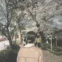 HIKARU .｡･*のプロフィール画像