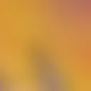 Liure. mayoのプロフィール画像