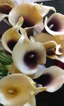 メナード　ルゥ シー 大泉学園のプロフィール画像