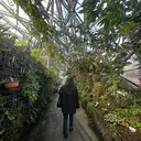 岩坪 咲希のプロフィール画像