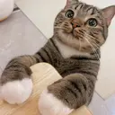 💅ネイリスト 🍒harukaのプロフィール画像