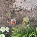 藤富 真樹のプロフィール画像