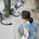 【塚口】NIFTY ayaneのプロフィール画像