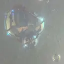 She nail 🕊SATOのプロフィール画像