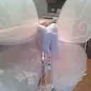 森田 星歌のプロフィール画像