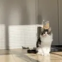 eyelist NATSUMIのプロフィール画像