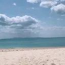 無料モデル募集🌸 nozakiのプロフィール画像