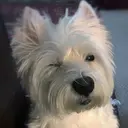 Sacco 栄店 Ayuのプロフィール画像