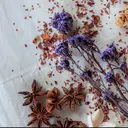 片桐  のプロフィール画像