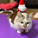 パークバイトウキョウ naoのプロフィール画像