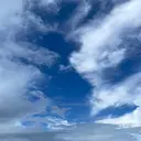 丸 川のプロフィール画像