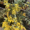 k. azusaのプロフィール画像