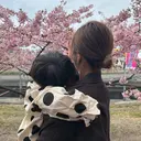 nui. kaeのプロフィール画像