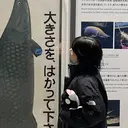 浅見 陽奈のプロフィール画像