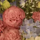 高木 由芽のプロフィール画像