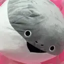 ヤマシタ ヨッシのプロフィール画像