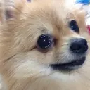 中嶋 信介のプロフィール画像