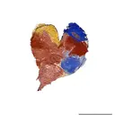 atelierS sayakaのプロフィール画像