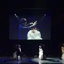 大橋 世喜のプロフィール画像