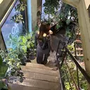 森本 結羽のプロフィール画像