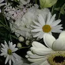 eyenico難波店 林のプロフィール画像