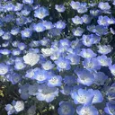 福田 果歩のプロフィール画像