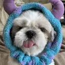 木幡 拓海のプロフィール画像