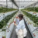 わだ かれんのプロフィール画像