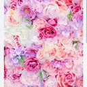 結城 美穂のプロフィール画像