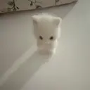 Renata新宿 仲西のプロフィール画像