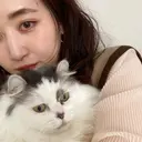 sato misakiのプロフィール画像